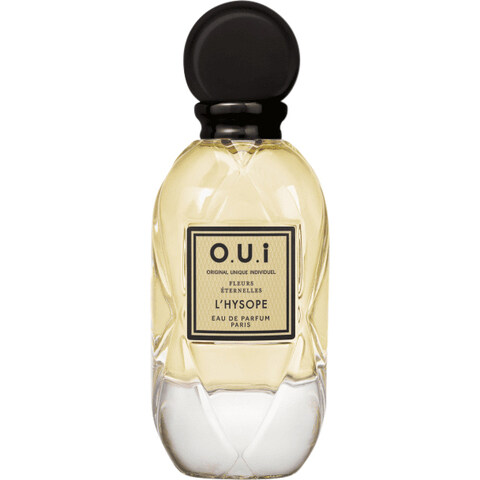 Fleurs Éternelles - L'Hysope